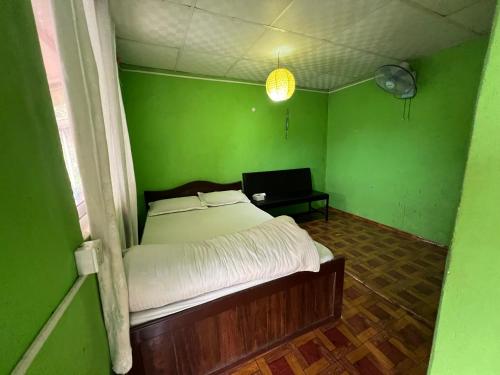 博卡拉Langhali Agricultural Homestay的绿色的客房配有一张床和一张带笔记本电脑的书桌