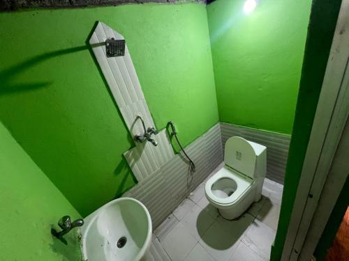 博卡拉Langhali Agricultural Homestay的绿色浴室设有卫生间和水槽
