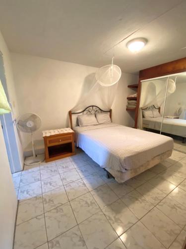 查尔斯城Coconut house Charlestown nevis的一间卧室配有一张床、一张桌子和风扇