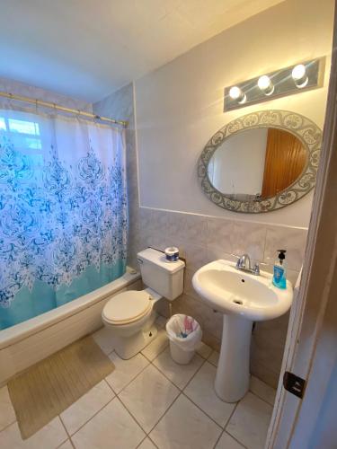查尔斯城Coconut house Charlestown nevis的一间带水槽、卫生间和镜子的浴室