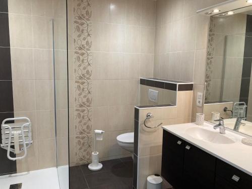 拉兰Gîte le Pic du Ger的浴室配有卫生间、盥洗盆和淋浴。