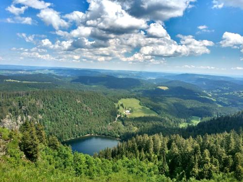 费尔德伯格Haus Wiesenquelle - Fewo 1 "Schlüchtsee", Feldberg的森林中湖泊的空中景观