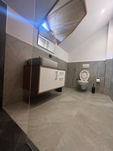 泰斯Bujtina Terthorja的一间带卫生间和水槽的浴室