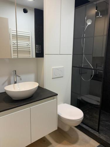 奥斯坦德Luna@sea的浴室配有卫生间、盥洗盆和淋浴。
