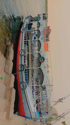 阿斯旺Ozzy Tourism的建筑物画的上方景象