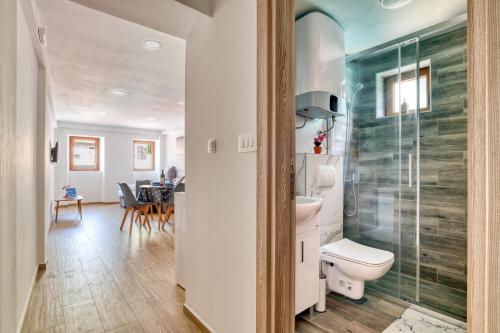 里桑Apartments Pavic的一间带卫生间和玻璃淋浴间的浴室
