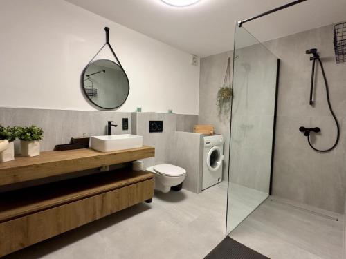 Bled-RečicaLa casa verde的浴室配有盥洗盆、卫生间和淋浴。