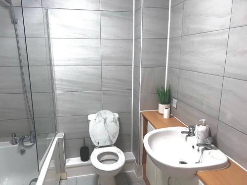 Ocker HillShazeal Apartment Tipton的一间带卫生间和水槽的浴室