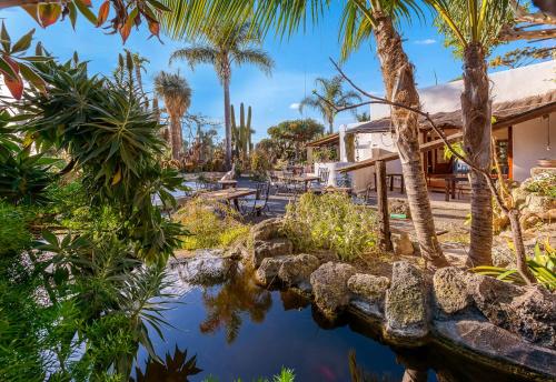 伊斯基亚Villa Ravino Secret Retreat的棕榈树和池塘的房子
