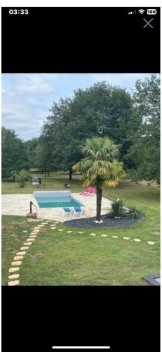 特雷莫拉Les cahutes的棕榈树和公园内的游泳池