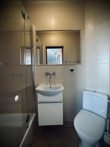 弗瓦迪斯瓦沃沃Willa Aleksandra White Glove的一间带卫生间、水槽和镜子的浴室