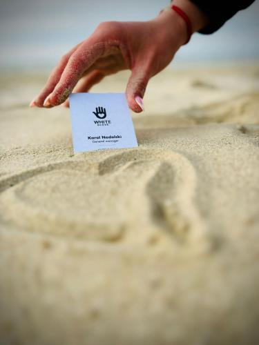 弗瓦迪斯瓦沃沃Willa Aleksandra White Glove的一个人在沙子里找张纸