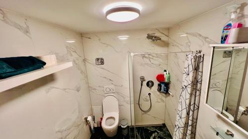 布劳施泰因Emily’s Apartment的带淋浴和卫生间的白色浴室