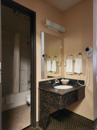 西尔弗索恩豪华旅馆&套房酒店的一间带水槽、卫生间和镜子的浴室