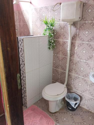 帕林廷斯Casa em Parintins的浴室设有墙上植物厕所