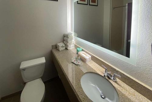 圆石城Round rock hotel的一间带水槽、卫生间和镜子的浴室
