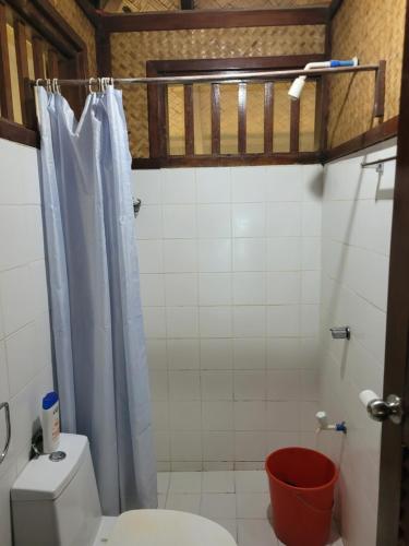 圣维森特MALAIKA RESORT的一间带卫生间和淋浴帘的浴室