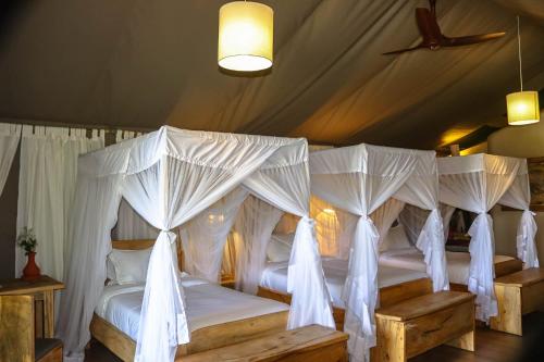 Ol Pejeta ConservancyMAISHA SWEETWATERS CAMP的一间卧室设有四张床,配有白色窗帘
