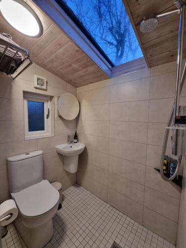 斯奇博瑞恩Cosy Cabin near Lough Hyne的浴室配有卫生间、水槽和天窗。