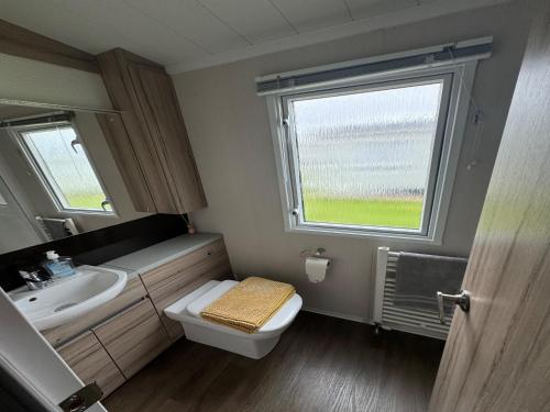 LongniddryLovely 2-Bed Caravan in Prestonpans的一间带卫生间、水槽和窗户的浴室