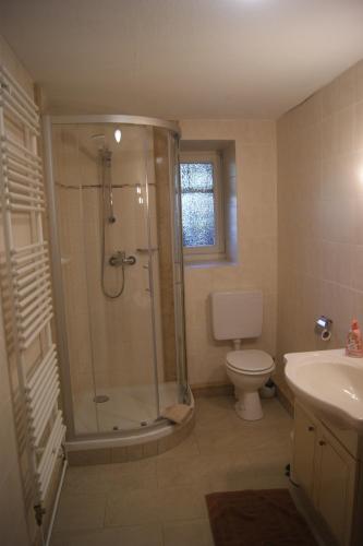 亚琛乌拉与威利乡村公寓的带淋浴、卫生间和盥洗盆的浴室