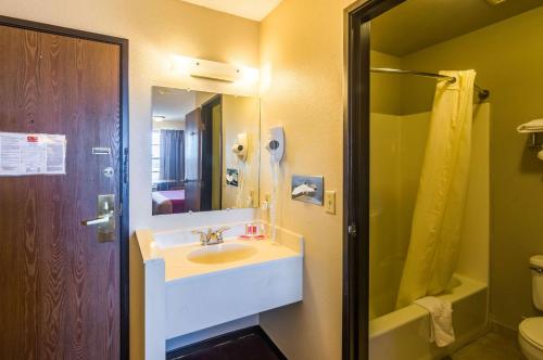 杜马Econo Lodge Dumas的一间带水槽、淋浴和镜子的浴室
