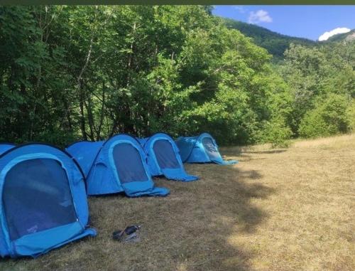 波德戈里察Auto camp Matica的一块蓝色帐篷坐在田野里