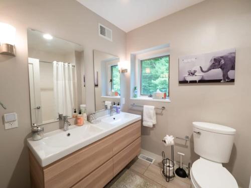 Berkshire Vacation Rentals: High End Berkshires Getaway的一间带水槽、卫生间和镜子的浴室