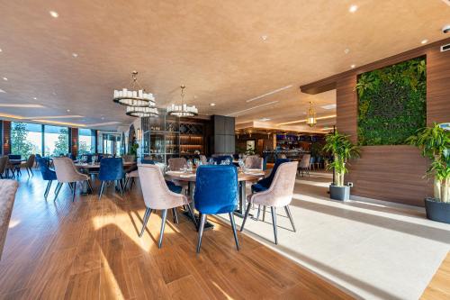 巴尔Hotel De‘Andros Virpazar的一间配备有蓝色椅子和桌子的用餐室