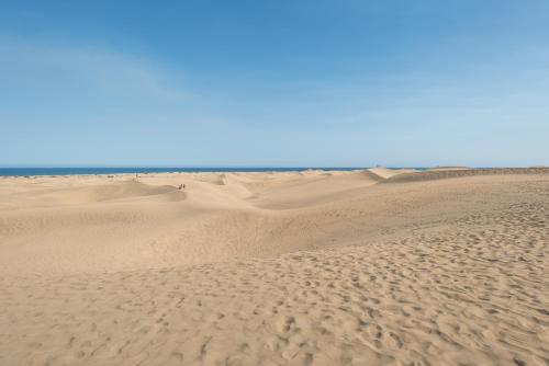 英格兰海滩Casas Pepe Apartments & Spa- Adults Only的沙漠,有沙丘和海洋