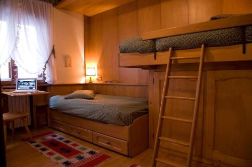 科尔蒂纳丹佩佐Casa Viola的一间卧室配有一张双层床和梯子