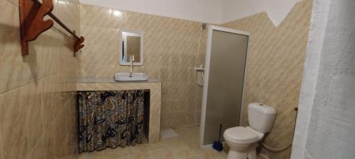 吉汶瓦Santa Rita lodge的一间带卫生间、水槽和镜子的浴室