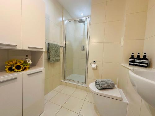 伦敦Stylish, modern appartment in Central London的带淋浴、卫生间和盥洗盆的浴室