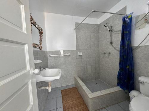 利马Hotel Pico Alto, La Planicie的带淋浴、盥洗盆和卫生间的浴室