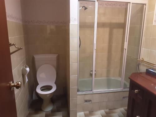 평안한 안식처的一间带卫生间和淋浴的浴室
