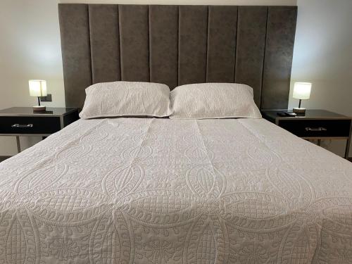 圣地亚哥BELLO APARTAMENTO EN SANTIAGO的一间卧室配有一张带2个床头柜的大床