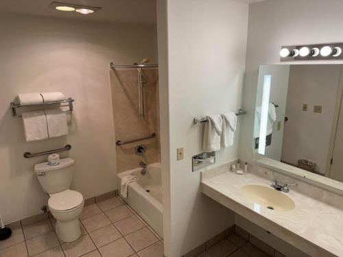 蒙蒂塞洛Abajo Lodge的一间带卫生间、水槽和镜子的浴室