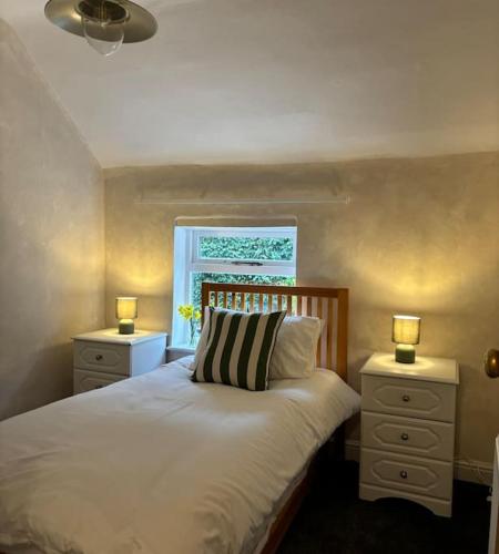 阿什伯恩Rosie Cottage的一间卧室配有带2个床头柜和1扇窗户的床