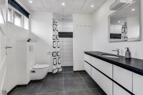 比伦德Private room with shared bathroom in central of billund的白色的浴室设有卫生间和水槽。
