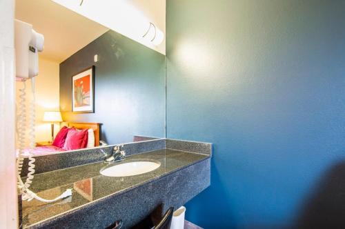 谢拉维斯塔Sierra Vista studio apartment with full kitchen and King Bed的一间带水槽和镜子的浴室