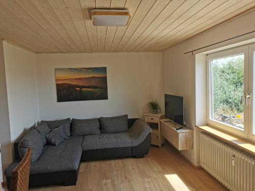 马尔贝格Wohnung auf dem Pferdehof的带沙发和电视的客厅