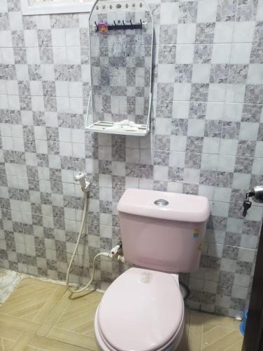 拉各斯Truth Key Hotel & Suites的浴室设有粉红色的卫生间和镜子