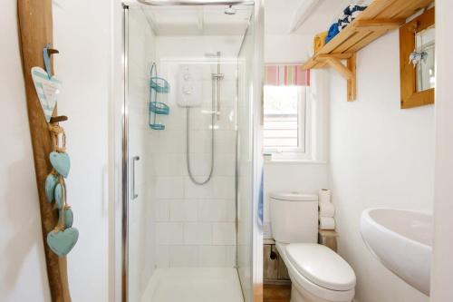奇切斯特Cosy self-contained annexe in Selsey的带淋浴、卫生间和盥洗盆的浴室