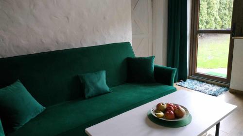鲁恰内尼达Domek z kominkiem, Ukta 63, Mazury,的客厅里的绿色沙发,桌子上放着一碗水果