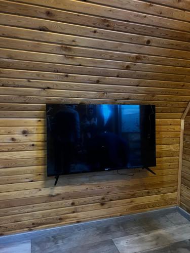 阿拉木图ECO PARK ASPAN的木墙内的平面电视