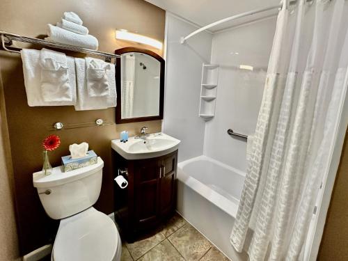 布洛英罗克山Blowing Rock Inn的浴室配有卫生间、盥洗盆和淋浴。