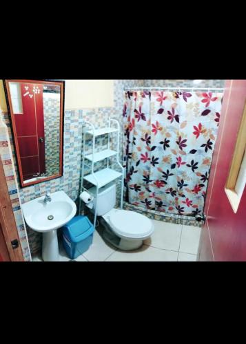 库斯科Home Dreams Cusco的浴室设有卫生间、水槽和淋浴帘