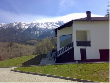 泽尔内什蒂Villa & SPA 4Temporadas BASM - Plaiul Foii的通往山的楼梯房屋