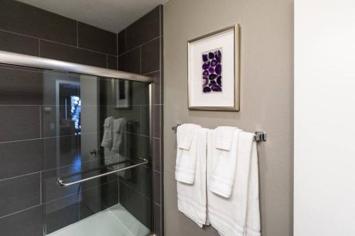 圣地亚哥Healthcare-Professionals-King-FreeParking-Wifi-Pet的一间带玻璃淋浴和白色毛巾的浴室