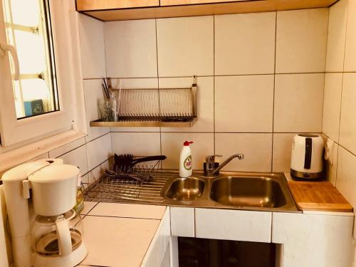蒂米什瓦拉Joy City Stay Unirii19的一个带水槽和窗户的小厨房